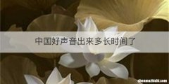 中国好声音出来多长时间了