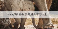 vivoy3青春版屏幕刷新率怎么打开