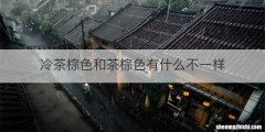冷茶棕色和茶棕色有什么不一样