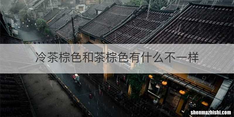 冷茶棕色和茶棕色有什么不一样