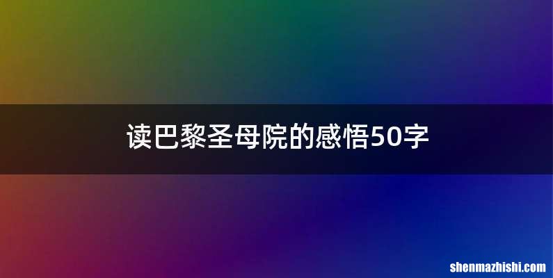读巴黎圣母院的感悟50字