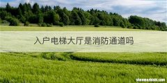 入户电梯大厅是消防通道吗