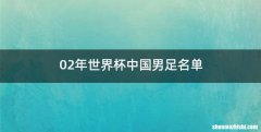 02年世界杯中国男足名单
