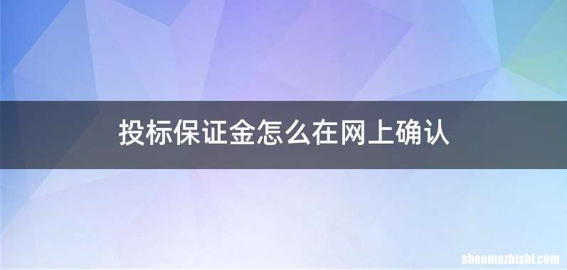 投标保证金怎么在网上确认