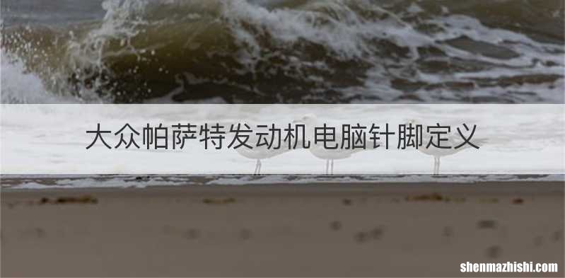 大众帕萨特发动机电脑针脚定义
