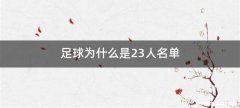足球为什么是23人名单
