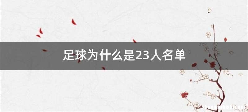 足球为什么是23人名单