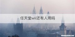 任天堂wii还有人用吗