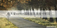 任天堂switch国航能玩美版卡带吗