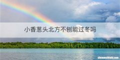 小香葱头北方不刨能过冬吗