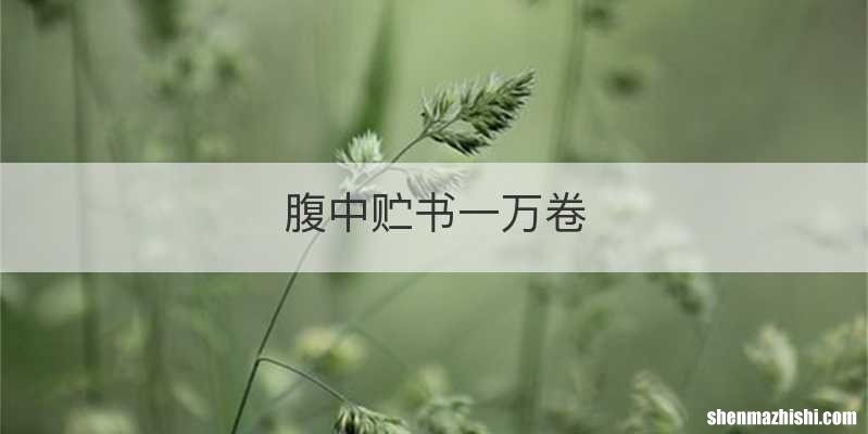 腹中贮书一万卷