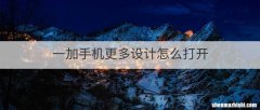 一加手机更多设计怎么打开