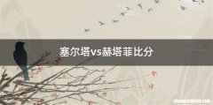 塞尔塔vs赫塔菲比分