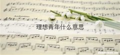 理想青年什么意思