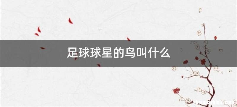 足球球星的鸟叫什么