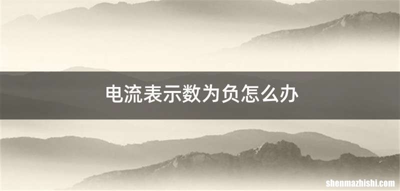 电流表示数为负怎么办