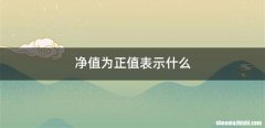 净值为正值表示什么