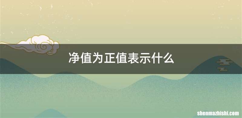 净值为正值表示什么
