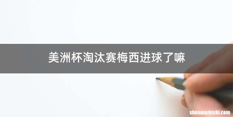 美洲杯淘汰赛梅西进球了嘛