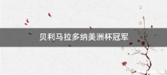 贝利马拉多纳美洲杯冠军