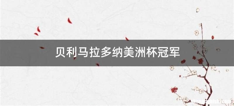 贝利马拉多纳美洲杯冠军