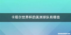 卡塔尔世界杯的美洲球队有哪些