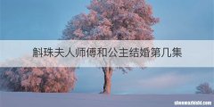 斛珠夫人师傅和公主结婚第几集