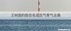王树国的励志名言志气骨气全篇