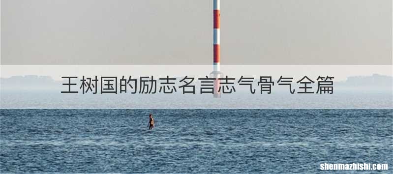 王树国的励志名言志气骨气全篇