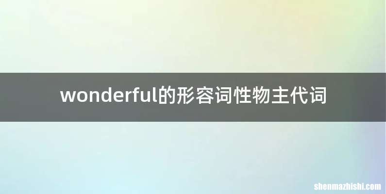 wonderful的形容词性物主代词