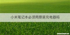 小米笔记本必须用原装充电器吗