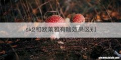 sk2和欧莱雅有啥效果区别