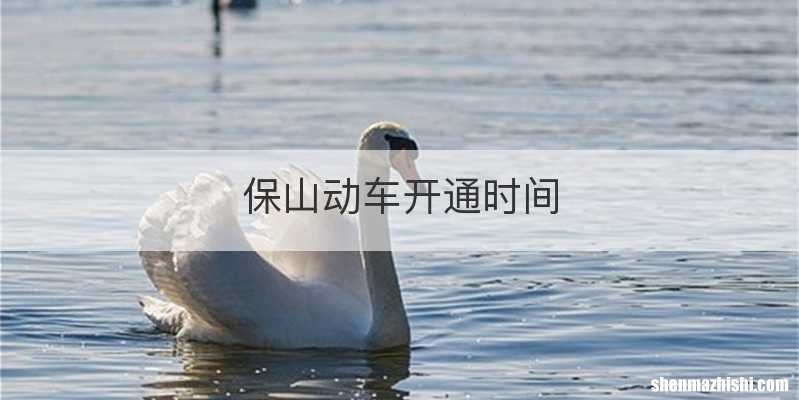 保山动车开通时间