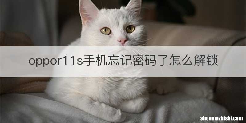oppor11s手机忘记密码了怎么解锁