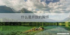 什么是开放的胸怀
