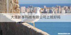 大连新享科技有限公司上班好吗