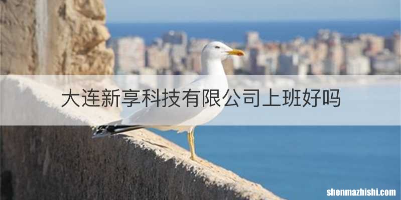 大连新享科技有限公司上班好吗