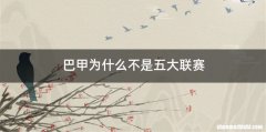 巴甲为什么不是五大联赛