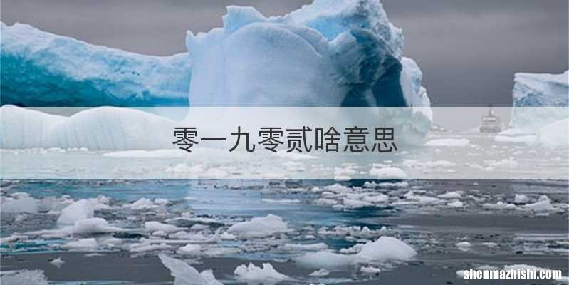 零一九零贰啥意思