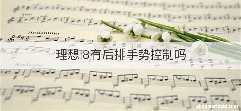 理想l8有后排手势控制吗