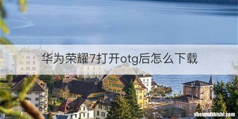 华为荣耀7打开otg后怎么下载