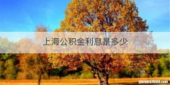 上海公积金利息是多少
