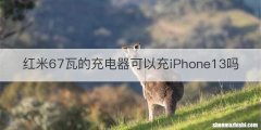 红米67瓦的充电器可以充iPhone13吗