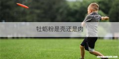 牡蛎粉是壳还是肉