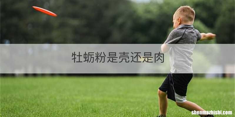牡蛎粉是壳还是肉