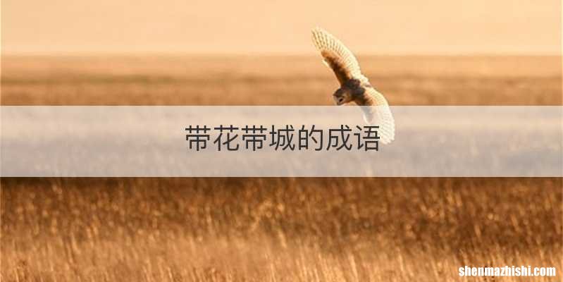 带花带城的成语