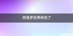 劳塔罗世界杯伤了