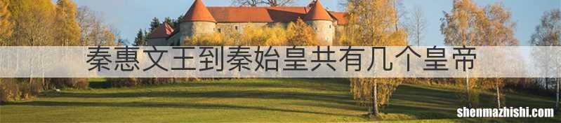 秦惠文王到秦始皇共有几个皇帝