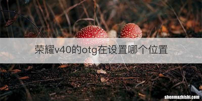 荣耀v40的otg在设置哪个位置