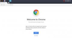Chrome无法播放视频？如何修复它